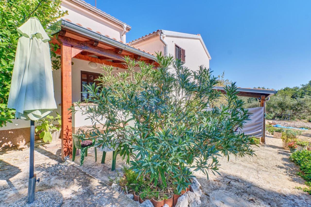 Eco Secluded Apartments Zabodarski Cunski Exterior photo