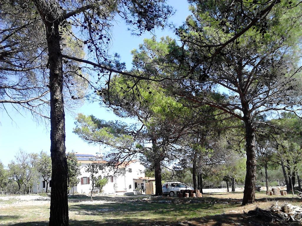 Eco Secluded Apartments Zabodarski Cunski Exterior photo