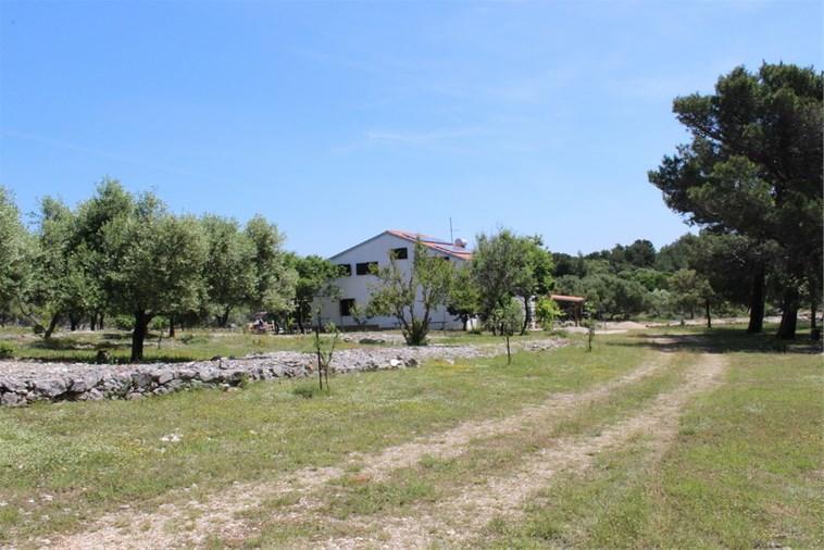 Eco Secluded Apartments Zabodarski Cunski Exterior photo